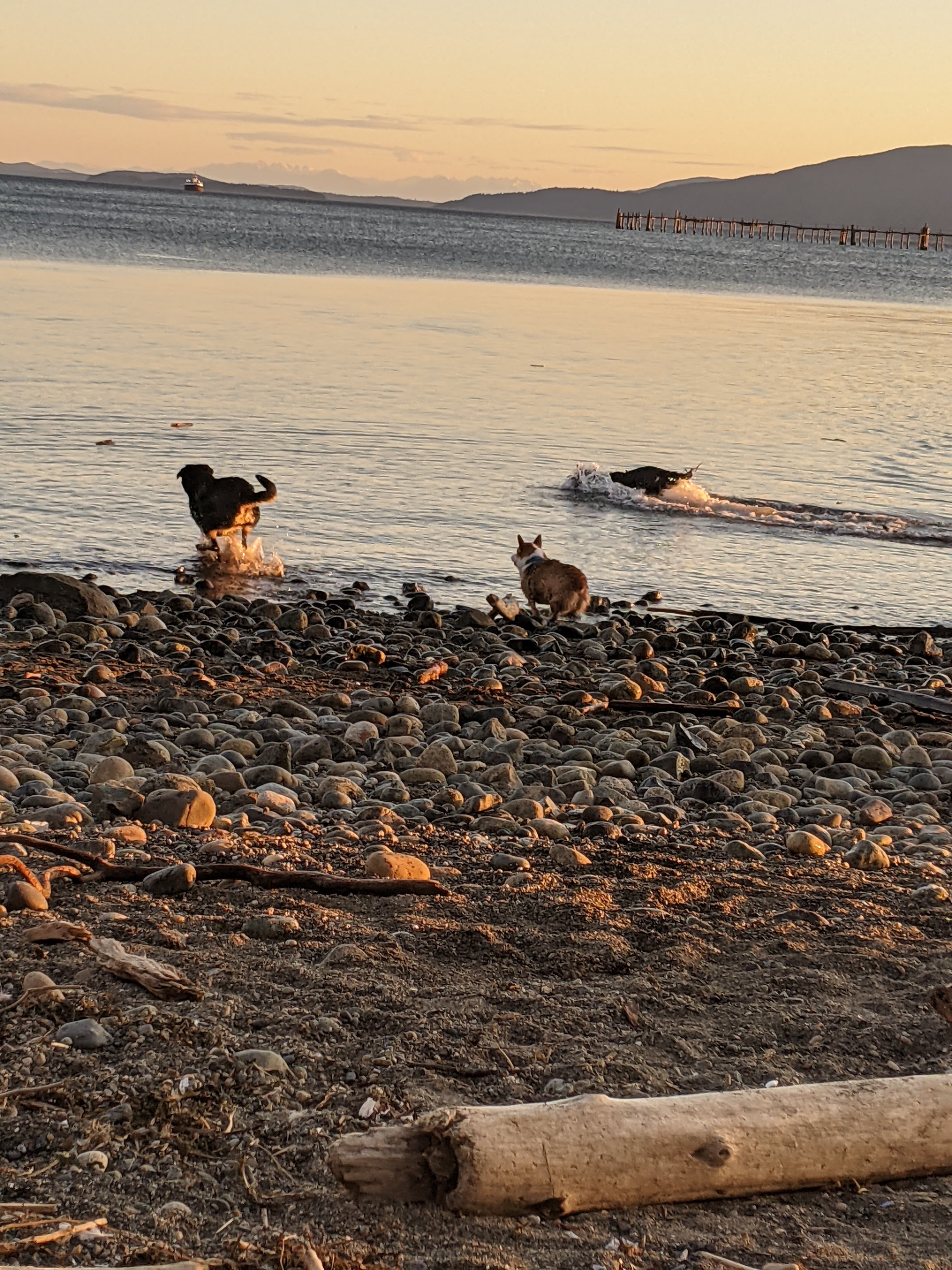 Bellingham Bay Sunset